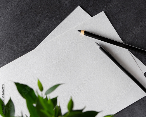Paper mockup. Watercolor A4 paper with black pencils and plant on dark background.
