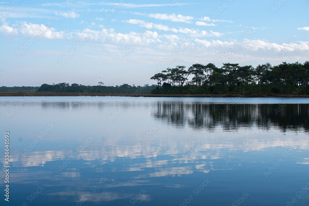 Landscape photo of lake and pine forest at Phu Kradueng National Park, Thailand Landscape photo of lake and pine forest at Phu Kradueng National Park, Thailand