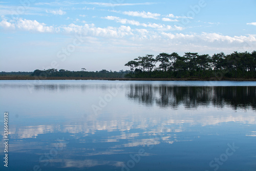 Landscape photo of lake and pine forest at Phu Kradueng National Park, Thailand
