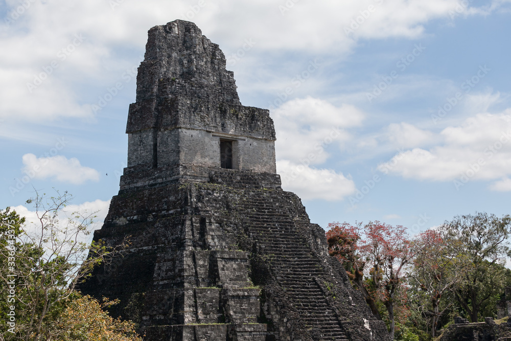 Ancient mayan pyramid jaguar temle ruins Tikal close up 