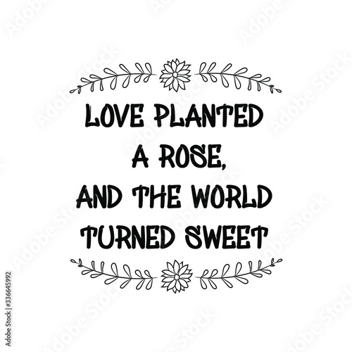 Love planted a rose, and the world turned sweet. Calligraphy saying for print. Vector Quote 