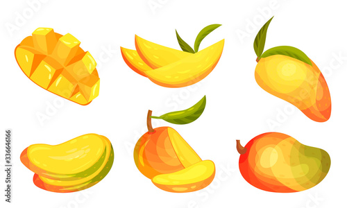 Fototapeta Naklejka Na Ścianę i Meble -  Ripe and Juicy Mango Fruit with Sweet Flesh Vector Set