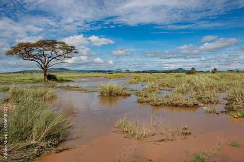 Serengeti  Fluss