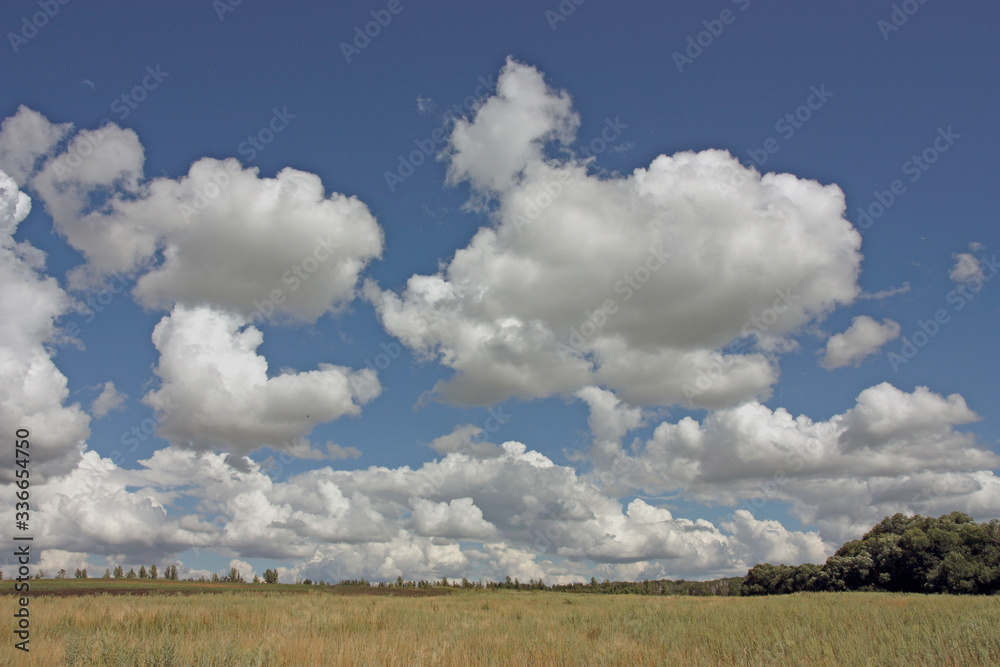 clouds over the field