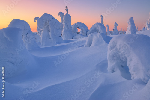 Trees in snow on mountain slopes in Lapland, Finland © Maksim