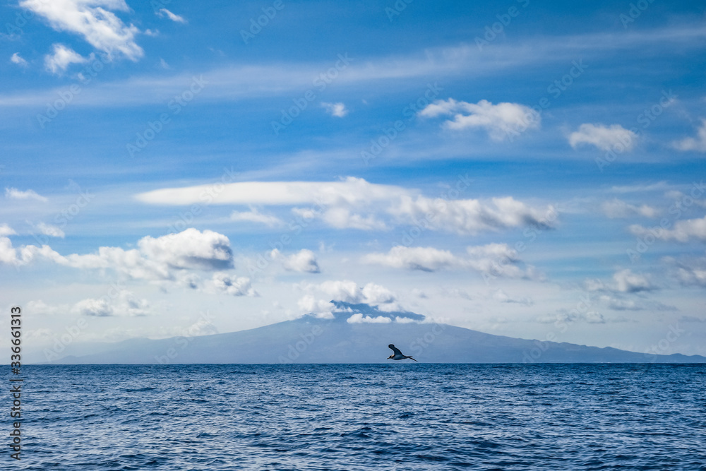 Pico island, Azores archipelago. Pico island, Azores archipelago.