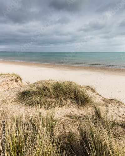 Fototapeta Naklejka Na Ścianę i Meble -  Knoll sand beach at Studland, Dorset, England on calm restful day