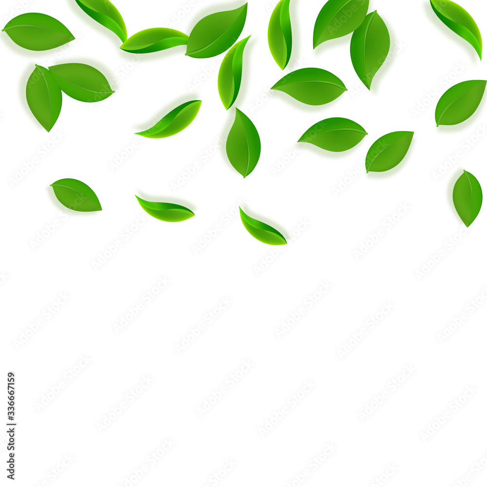 Falling green leaves. Fresh tea neat leaves flying