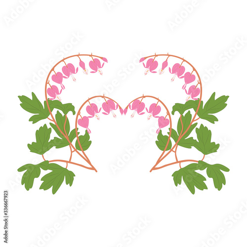 Heart shape made of Asian bleeding heart flower isolated on white background. Great for Chinese Valentine's Day, Qixi Festival or Double Seventh Festival, wedding design.
