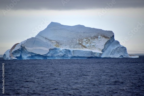 Trinity Peninsula  Icebergs , Antarctica 