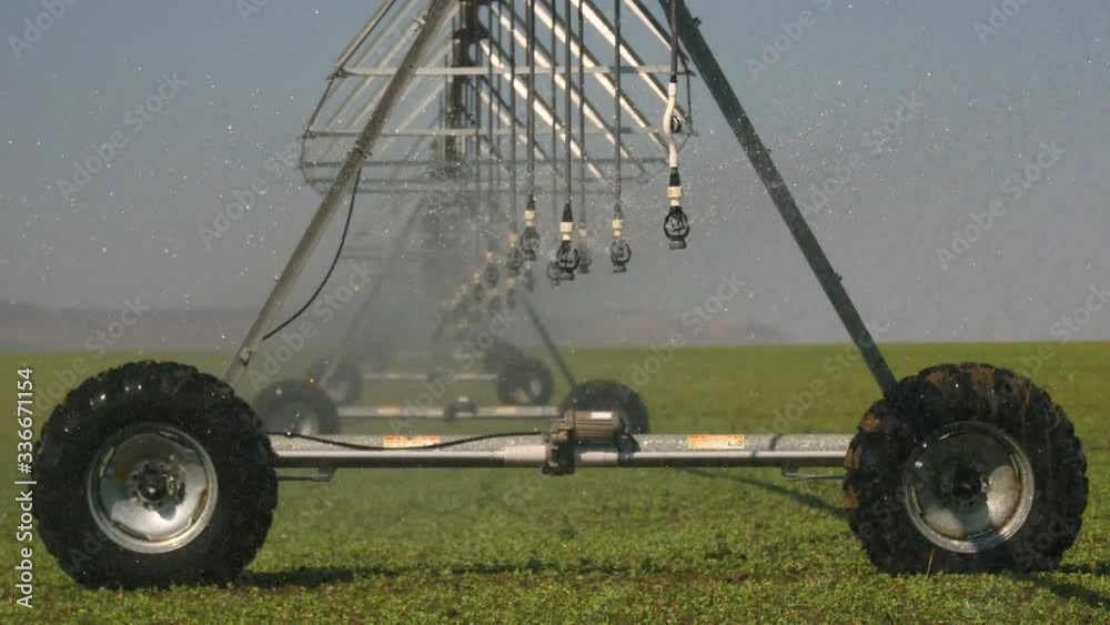 Pivot irrigation on a vegetable field