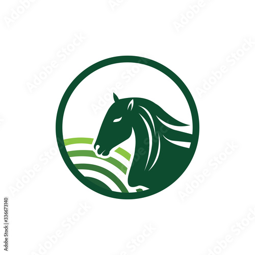 Animal horse logo vector design template photo