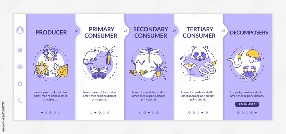 Grazing food chain onboarding vector template. Energy producer, consumers and decomposers. Responsive mobile website with icons. Webpage walkthrough step screens. RGB color concept