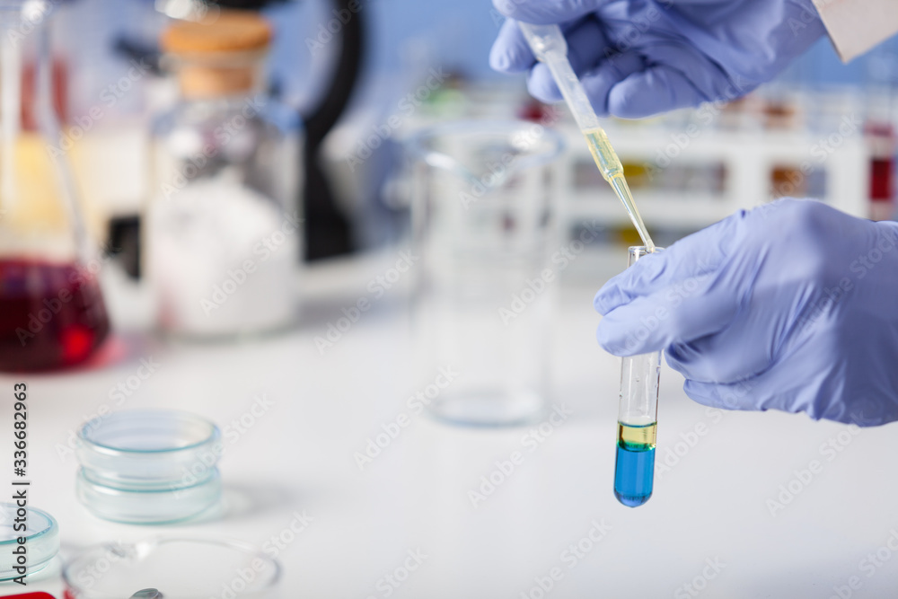 Fototapeta premium Examination of samples in the laboratory.