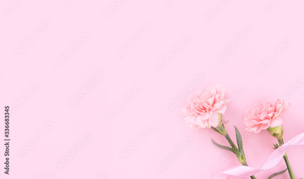 Mother's Day design concept - Pink carnations on a pale pink background with gratitude greeting card and words, top view, flat lay, copy space