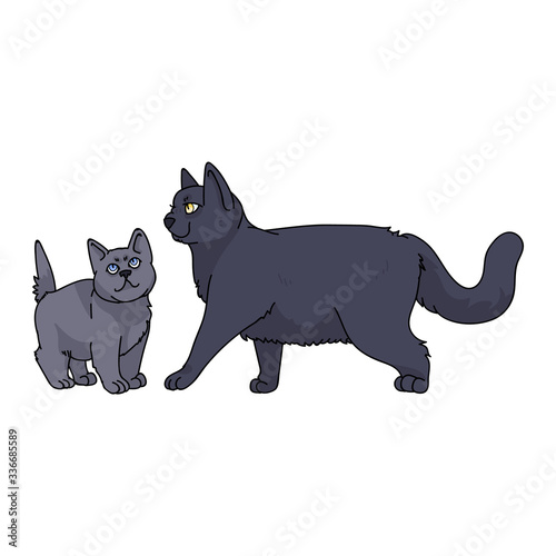 Cute cartoon British shorthair cat and kitten vector clipart. Pedigree kitty breed for cat lovers. Purebred domestic kitten for pet parlor illustration mascot. Isolated feline housecat. EPS 10.