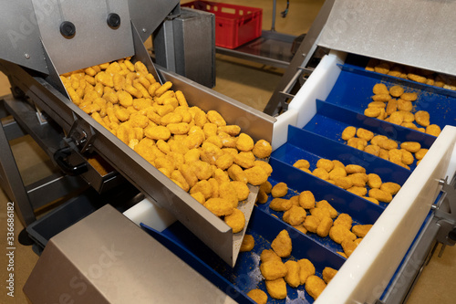 Foto Chicken nuggets production line