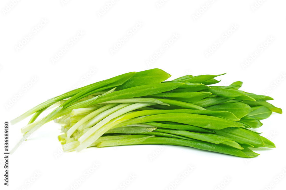 Pile of fresh green ramson isolated on white background Pile of fresh green ramson isolated on white background