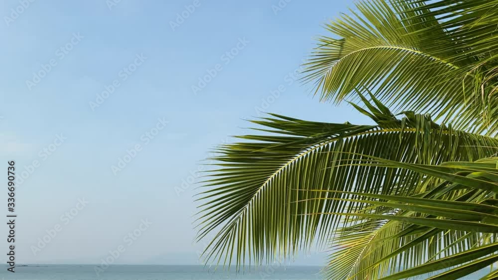 Summer beach background palm trees against blue sky banner panorama, tropical travel destination.