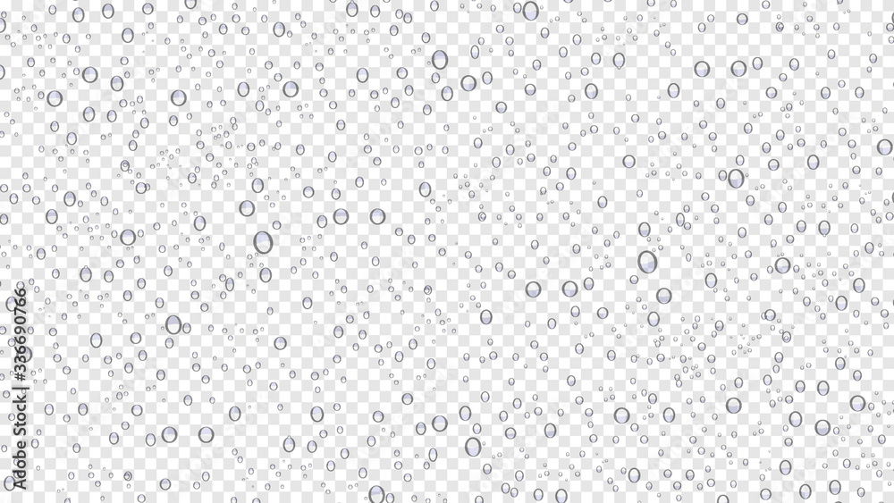 Drops water rain on transparent background, realistic style, vector elements - obrazy, fototapety, plakaty 