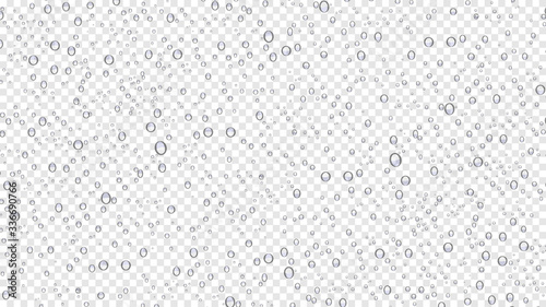 Drops water rain on transparent background, realistic style, vector elements