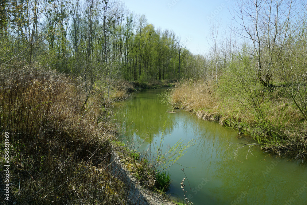 Fluss in der Auenlandschaft, Wasser im Erholungsgebiet, Wandern in Österreich