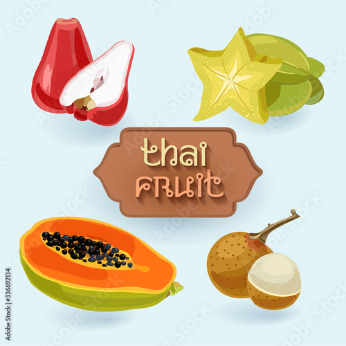 Thai fruits. Fruit from Thailand. Rose apple, carambola, papaya, herring. Asian fruit set
