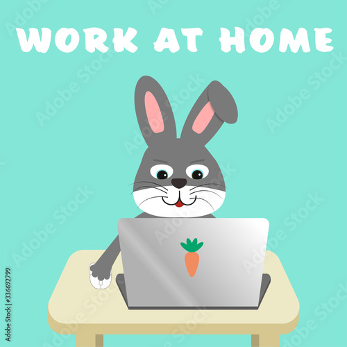 Grey rabbit work with computer laptop, text 