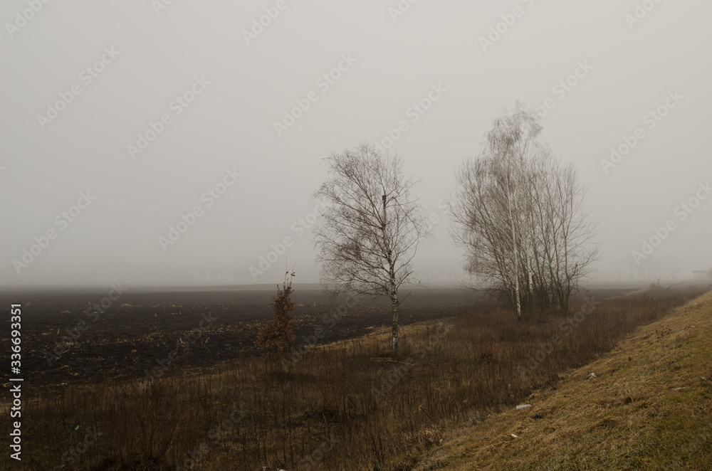 foggy morning on the landscape foggy morning on the landscape