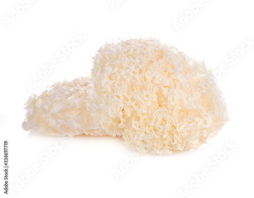  tremella fuciformis white fungus isolated on white photo