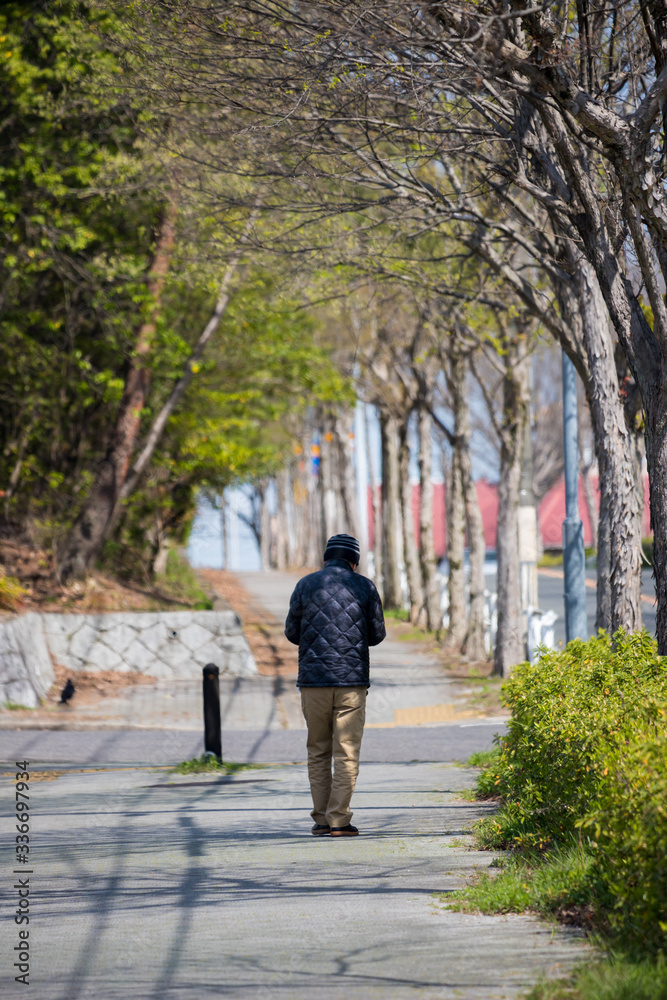 公園の道路で歩く一人の老人