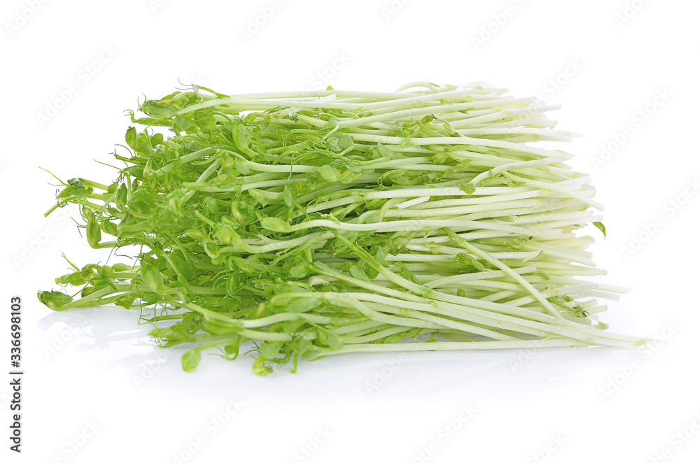 Fresh sprouts isolated on white background. Fresh sprouts isolated on white background.