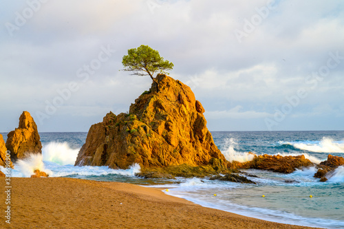 Tossa de mar photo