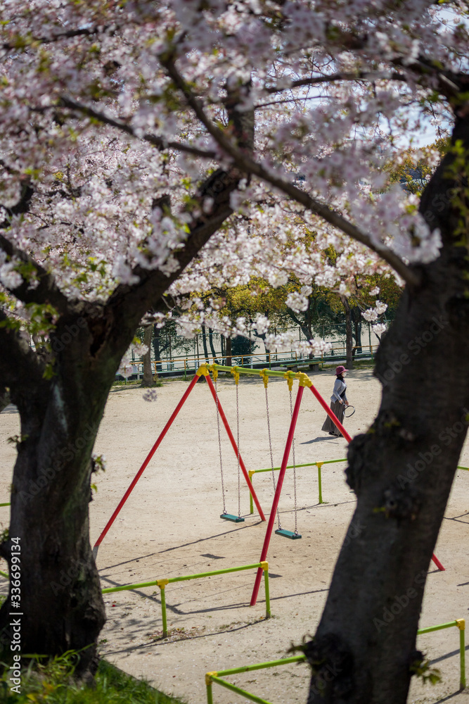 サクラ満開の公園で遊んでいる女性