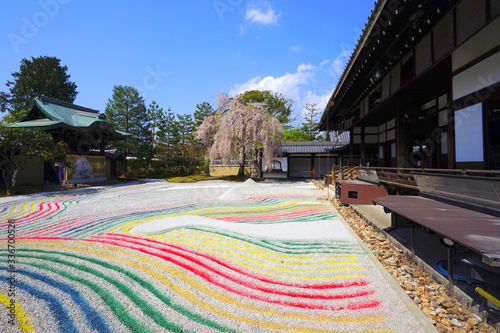 Japanese garden at Kodaiji Temple, Kyoto City, Kyoto Pref., Japan photo