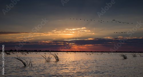 Discover the Danube Delta  Romania. Natural reserve with canyons and beautiful sunsets. Boat trips and excursions. 