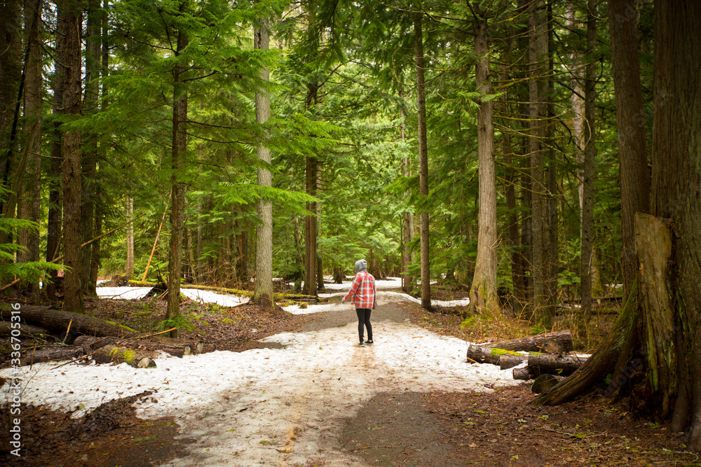 Woman wearing red plaid shirt walking through the green forest near Whistler, British Columbia.