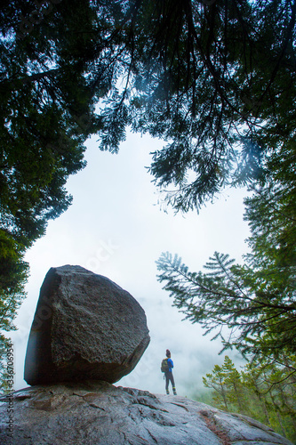 Rear view of hiker standing on rock