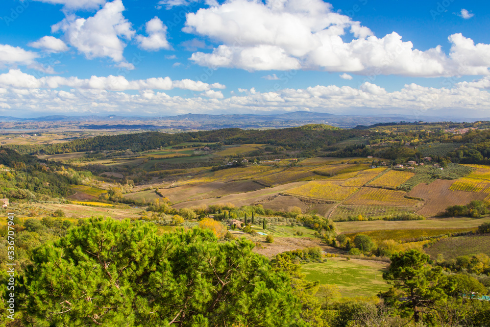 Beautiful autumn landscape in Tuscany, Italy. Panorama of the Dorca Valley, golden grapes, blue sky and cypress trees.