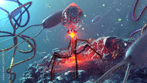 Bacteriophage 3d render photo