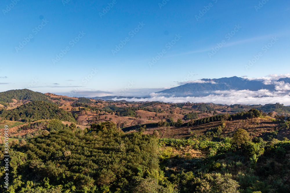 A panoramic landscape view of a tropical forest mixed with agricultural farm plots under blue sky and little cloud. Fore ground focus. Shadow is on the right hand side.