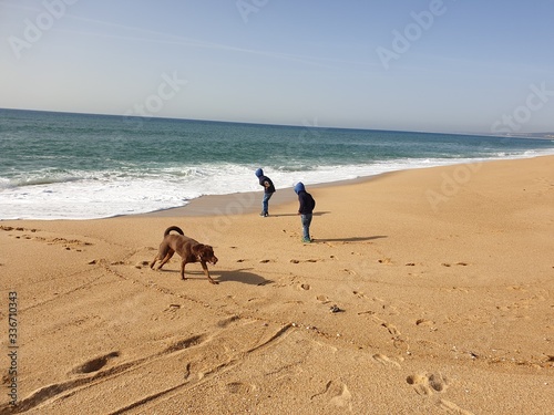 Kids Play on the beach with the dog