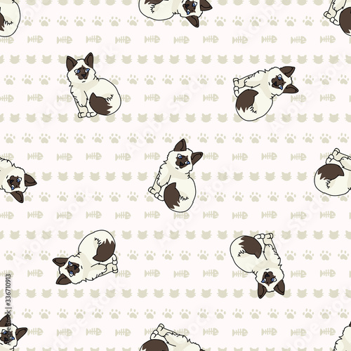 Cute cartoon Ragdoll pet kitten seamless vector pattern. Pedigree kitty breed domestic cat background. Cat lover purebred all over print. Feline EPS 10. 