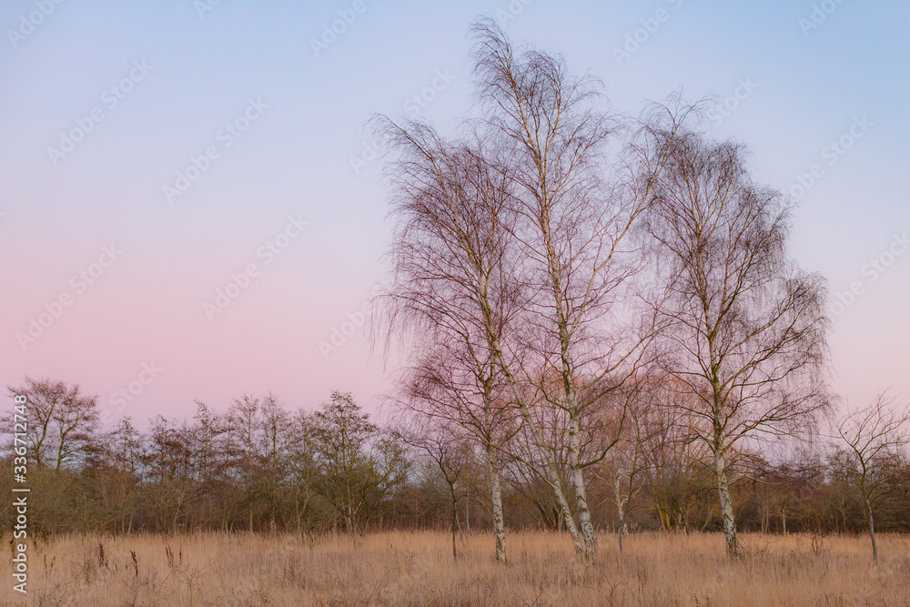 A Scandinavian sunset, Copenhagen, Denmark A Scandinavian sunset, Copenhagen, Denmark