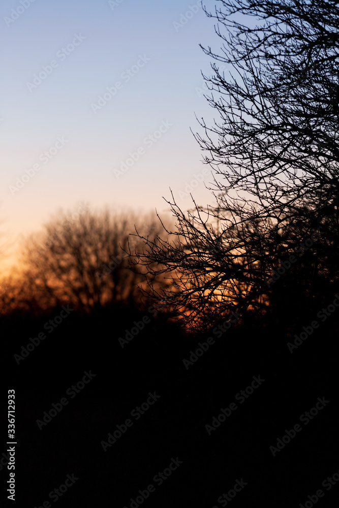 Silhouette of a Scandinavian sunset, Copenhagen, Denmark Silhouette of a Scandinavian sunset, Copenhagen, Denmark
