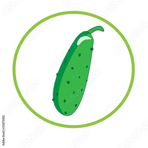 green cucumber cartoon illustration vector. organic vegetable