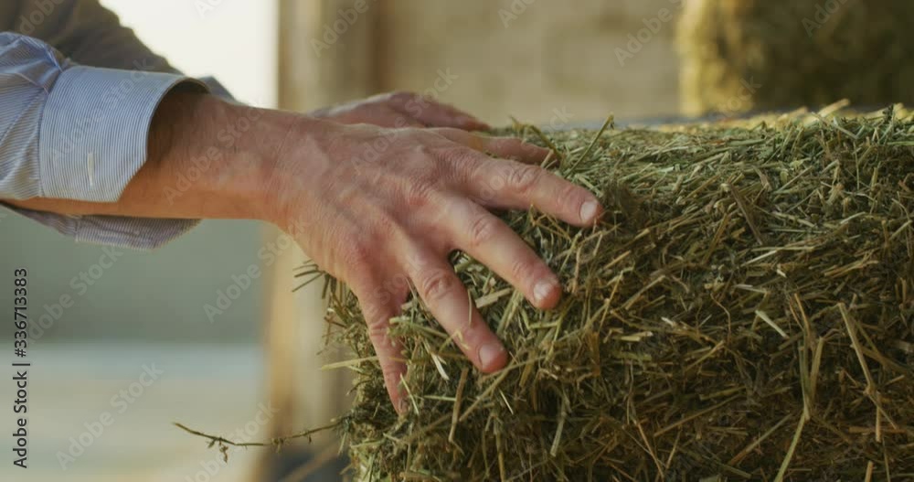 Close up shot of an young successful man farmer is controlling with his ...