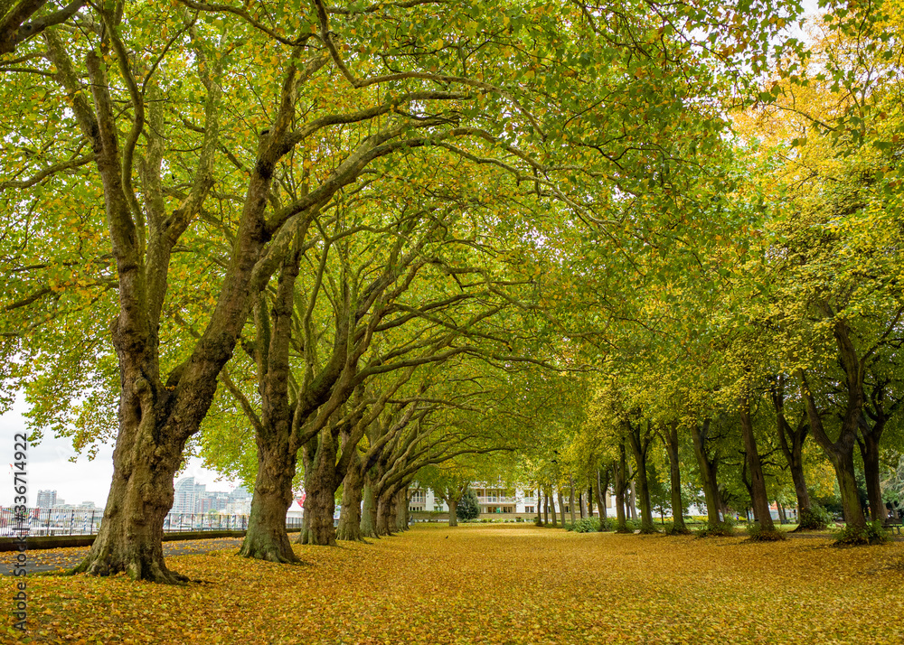 Beautiful park in London during autumn 