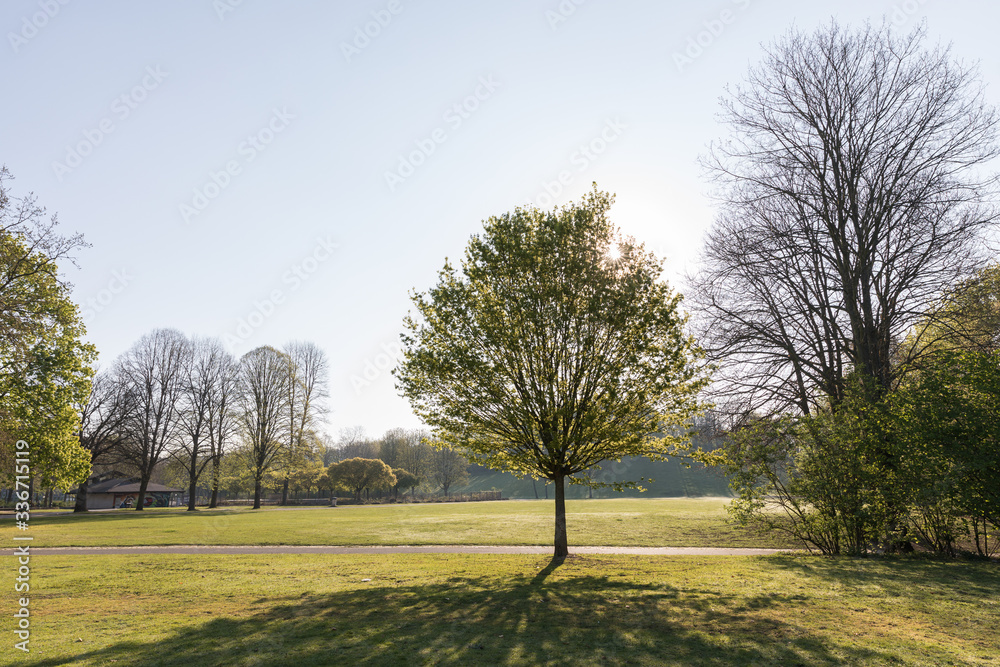 Obraz premium Bonn Rheinaue ohne Menschen