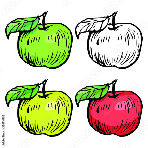 Apple collection: green, yellow, red and black and white outline. Hand drawn ink sketch. Doodle illustration  set, stock vector